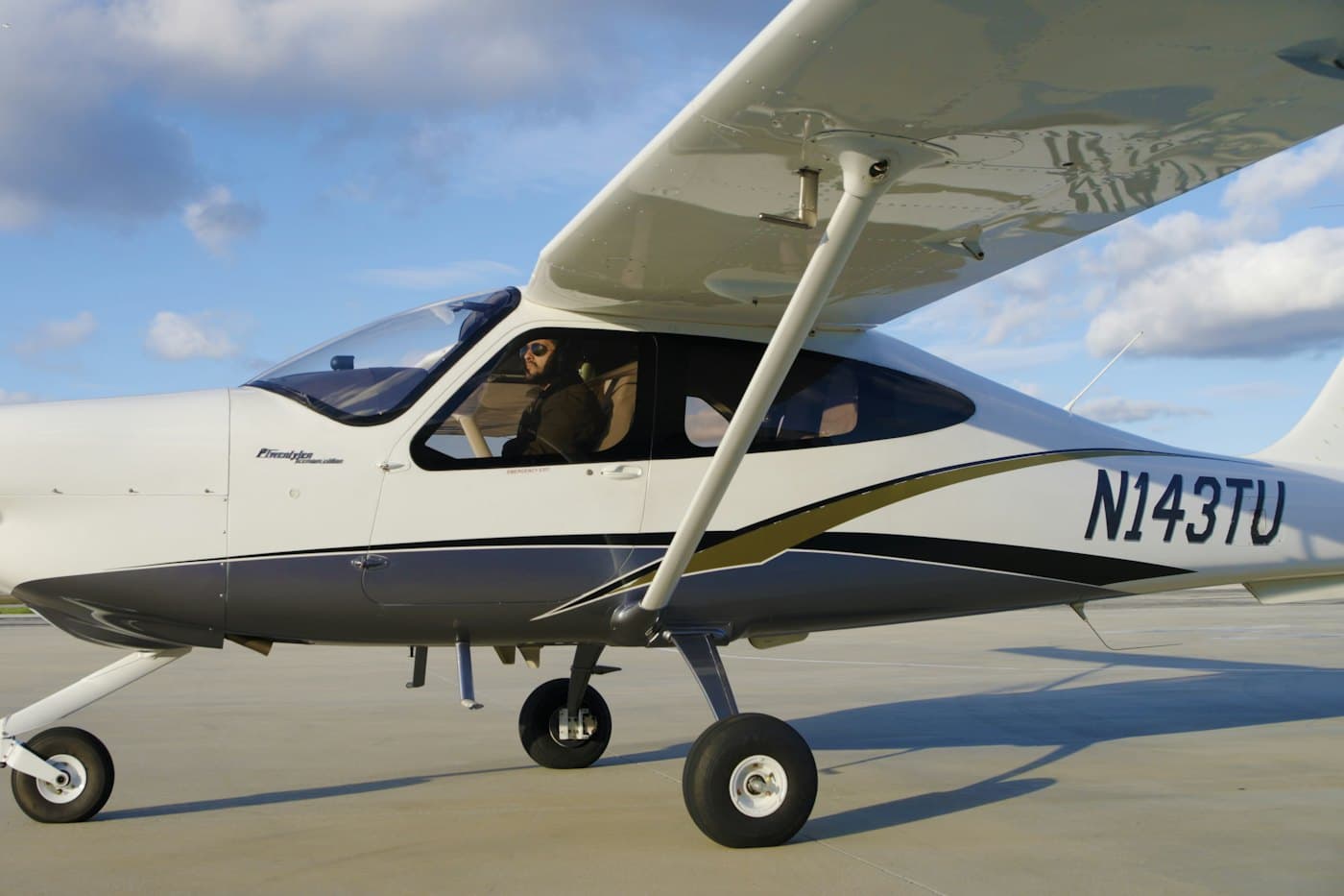 Tecnam P2010 aircraft